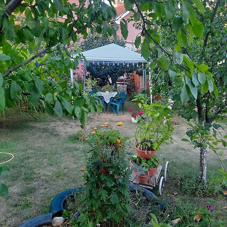 Apartman Drina Berilovac Zewnętrze zdjęcie