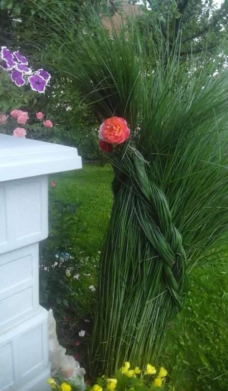 Apartman Drina Berilovac Zewnętrze zdjęcie