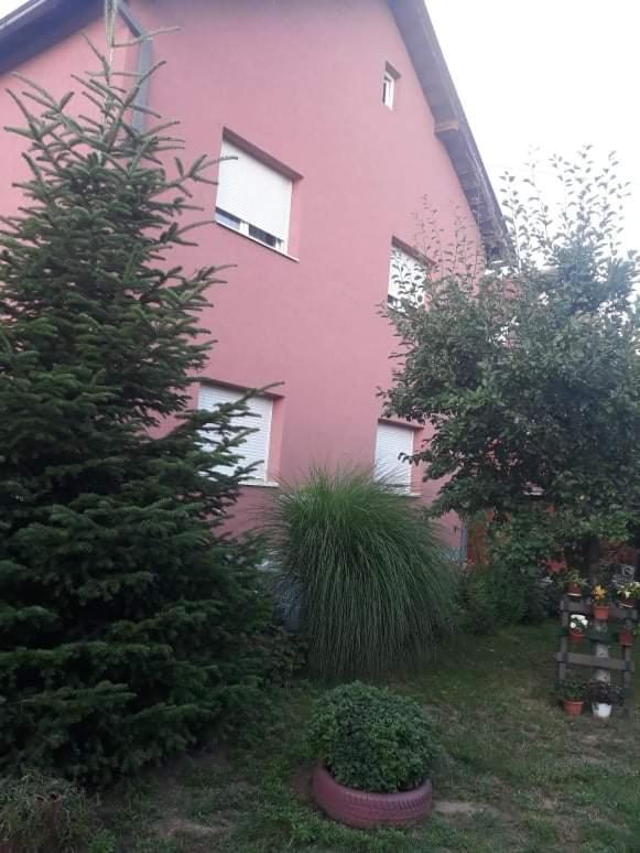 Apartman Drina Berilovac Zewnętrze zdjęcie