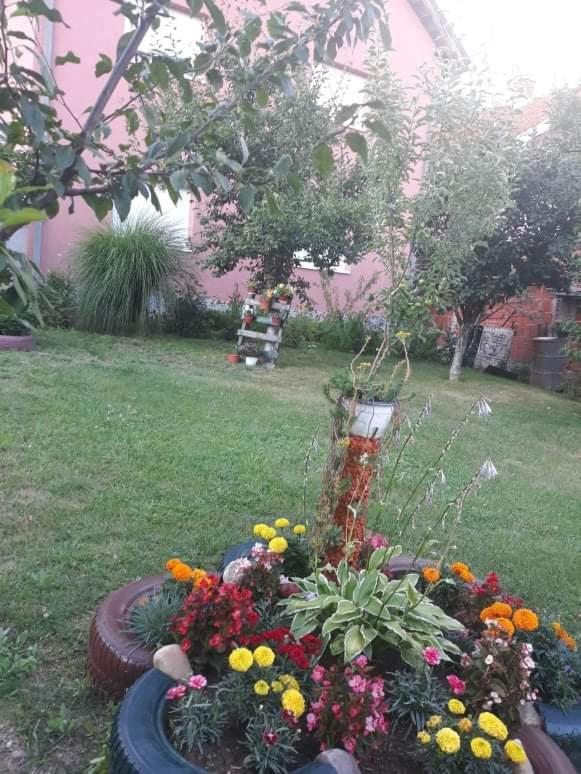 Apartman Drina Berilovac Zewnętrze zdjęcie