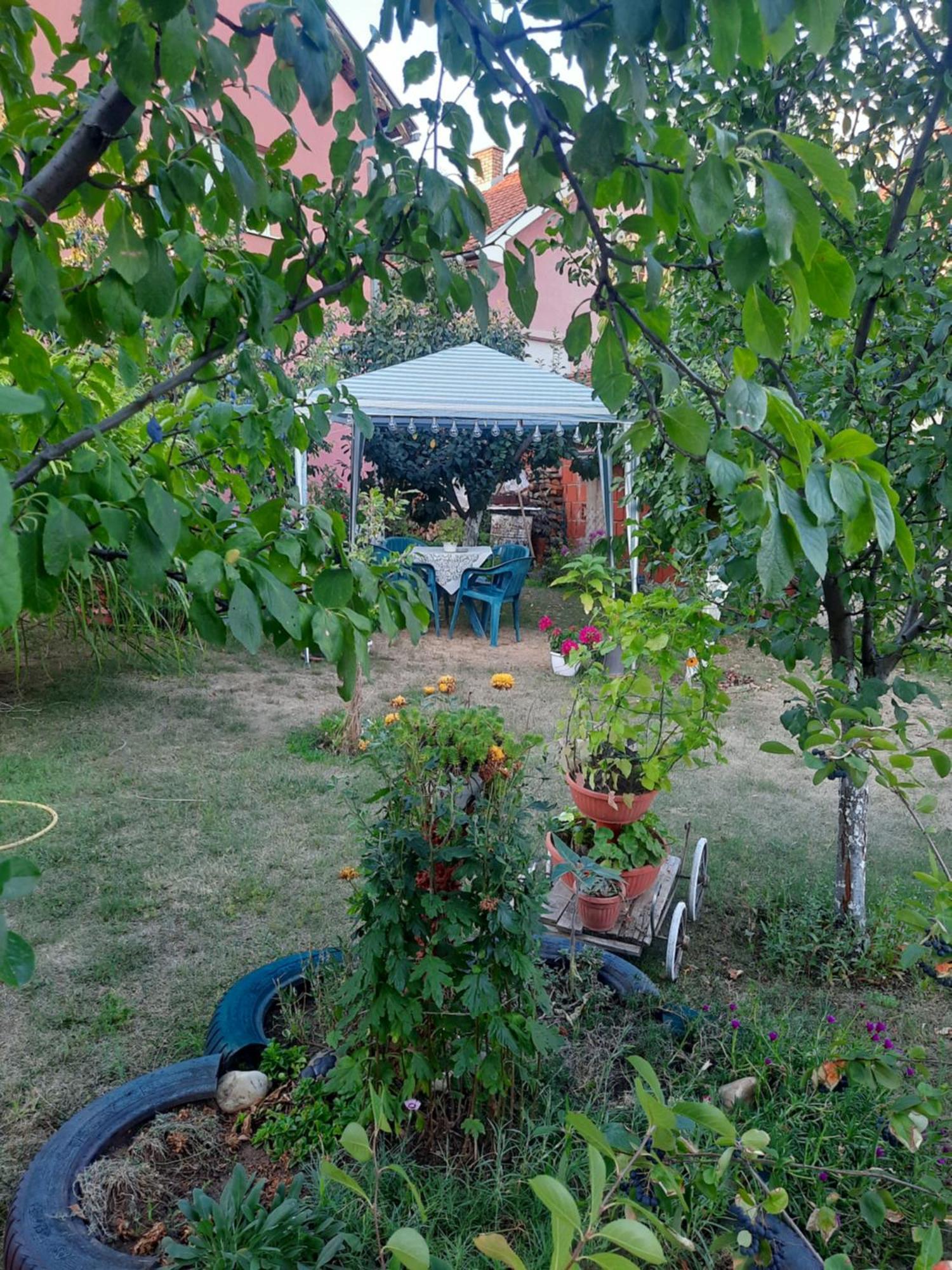 Apartman Drina Berilovac Zewnętrze zdjęcie